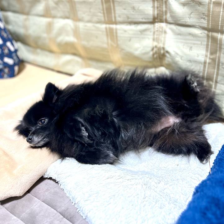 D3afa28a a43b 459c 911b ea4c147d337f 1774878387356