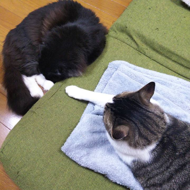 D3afc34d 5444 40af bc9c 93473271724a 1653226908522