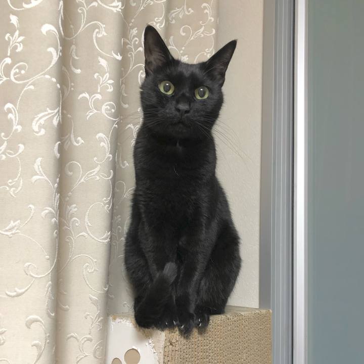 D3b00778 aef4 4944 b6bb cce3f7dabab7 1638106565929