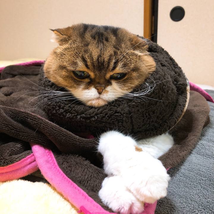 D3b010b9 a126 43c5 8486 25e88df38044 1546775833816