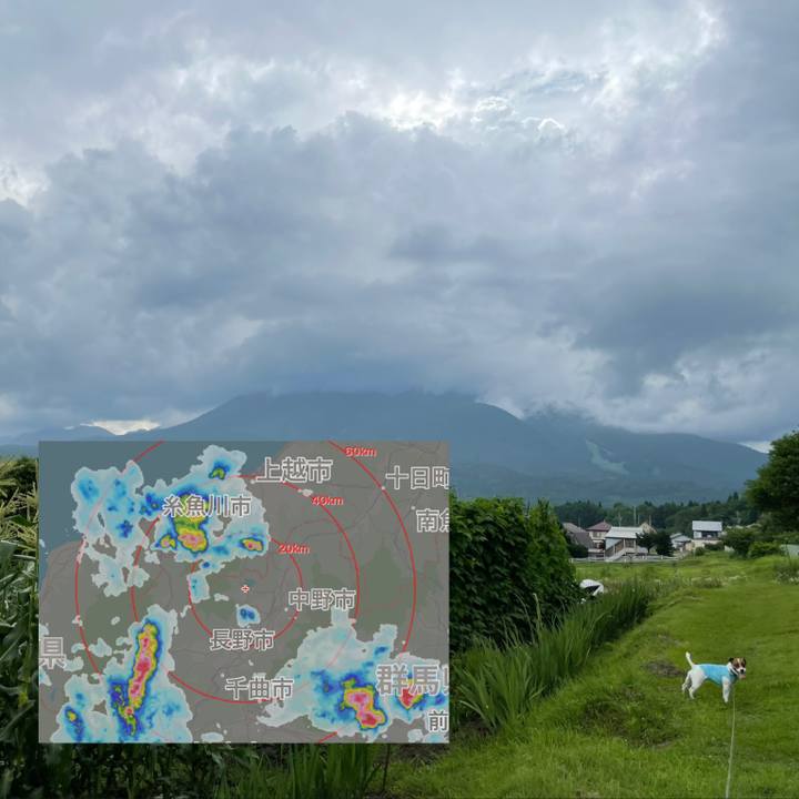 D3b01866 7658 4c37 9e56 d81859499386 1626330308645