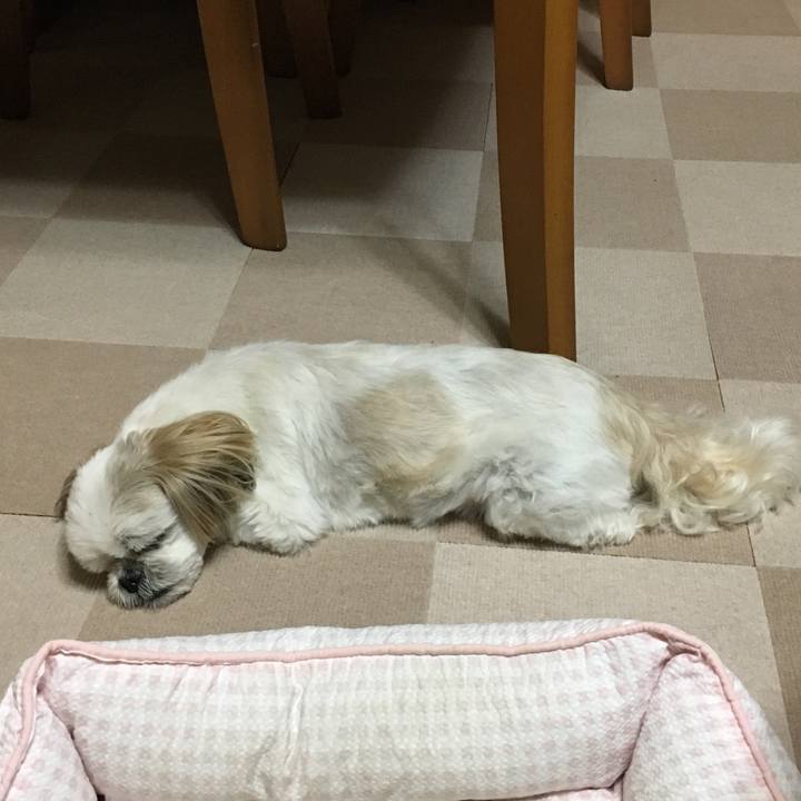 D3b06a70 efcc 422c 9637 d8fa2bfcb567 1592609495534