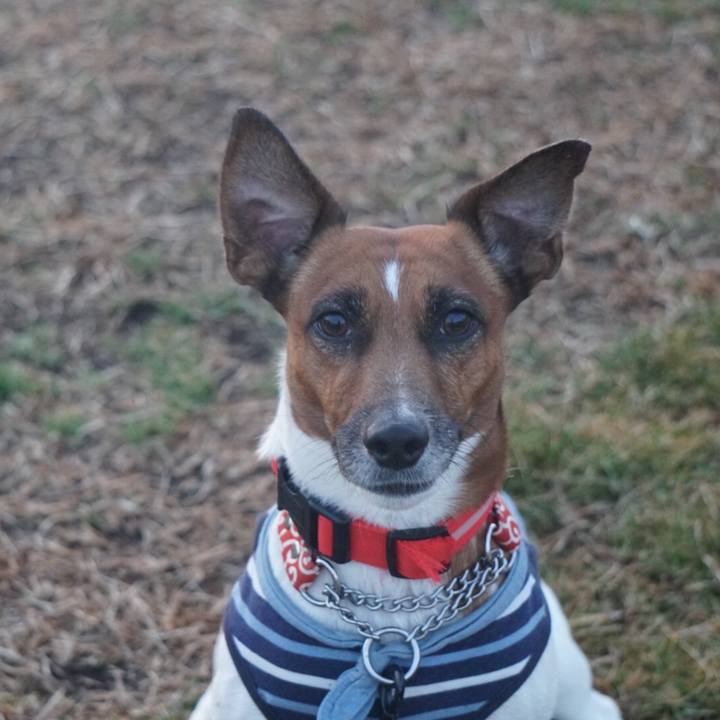 D3b09f3b e8df 480c 9bbd 83985a6c5b98 1516488454399