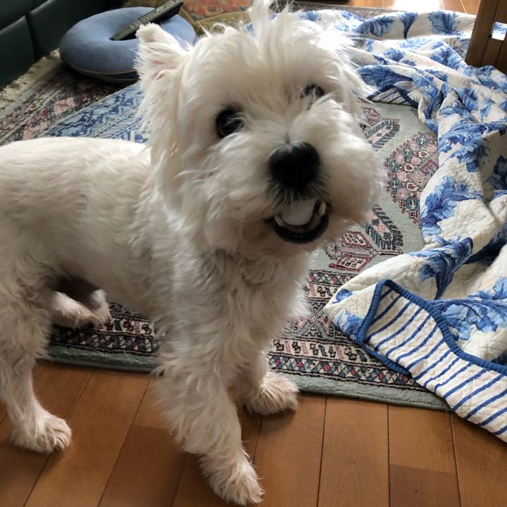 D3b0c180 0b05 4efb a1db 6093c39a315f 1573828780093