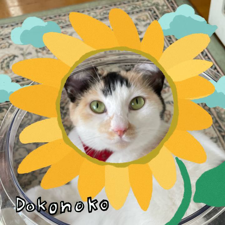 D3b0c893 5239 45ed 97f0 e0d16db0ed94 1723181300912