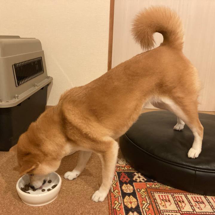 D3b0e779 5260 47a0 ac98 f4854b19691b 1766908211003