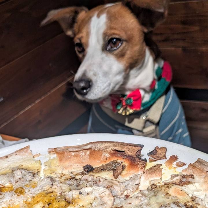 D3b0f1c2 16c5 4e95 a800 6e77e0befd01 1764570914088