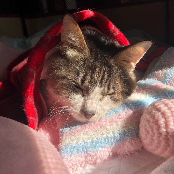 D3b0f5f0 02d1 4aef 8d81 5ad88c9f3e0f 1573170083416