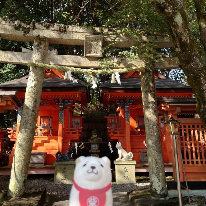 D3b110bb 7dd3 48eb ada7 8a22606a9a73 1767174918320