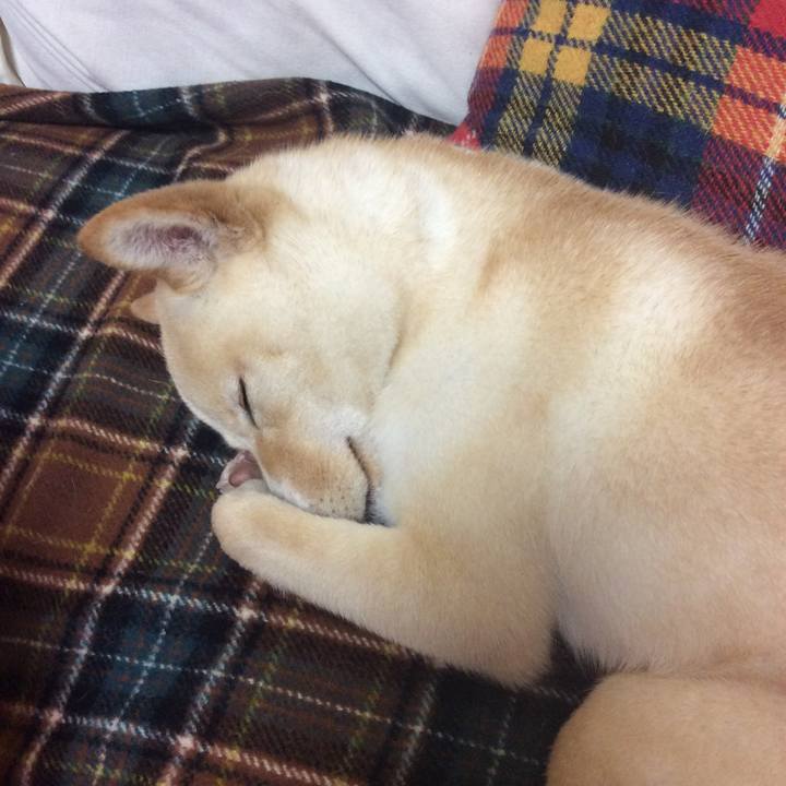 D3b12bd5 d9cb 485f 84ba 5fc6d703ca66 1512824932888