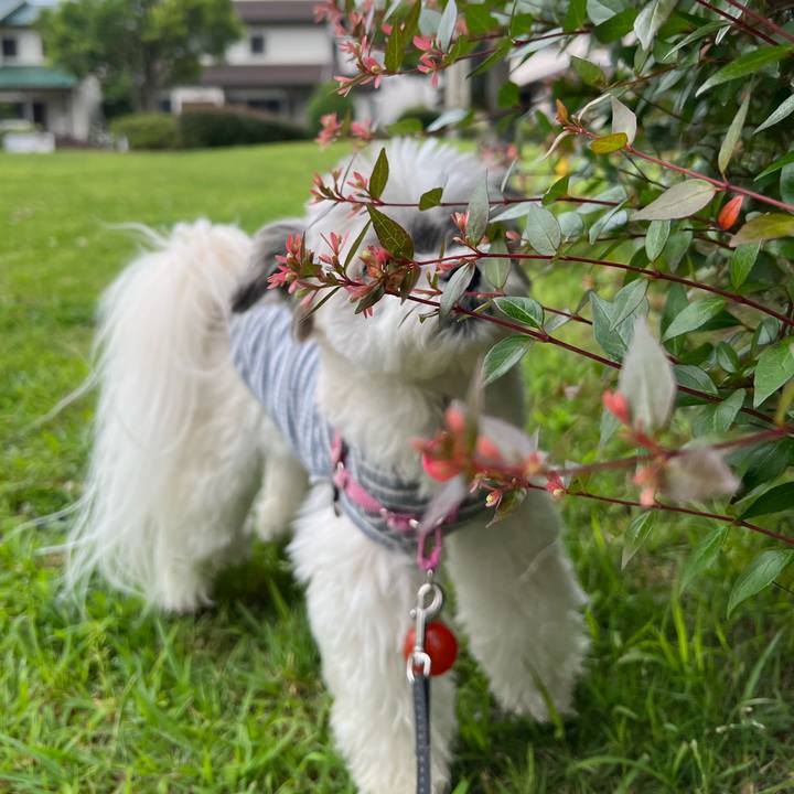 D3b1462c 96a2 4e8d ae7e ac5f775c19c5 1717942208335