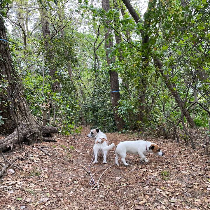 D3b19c98 ba73 412d b983 0c2c2a1c2ccc 1682465518722