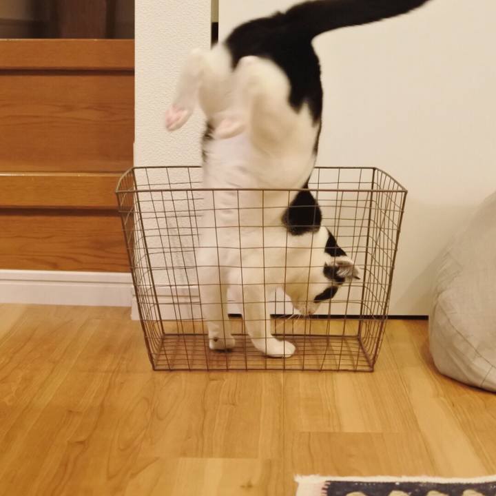 D3b1b1be accb 421d b7b2 9d5b4cd9bd7f 1520078757091