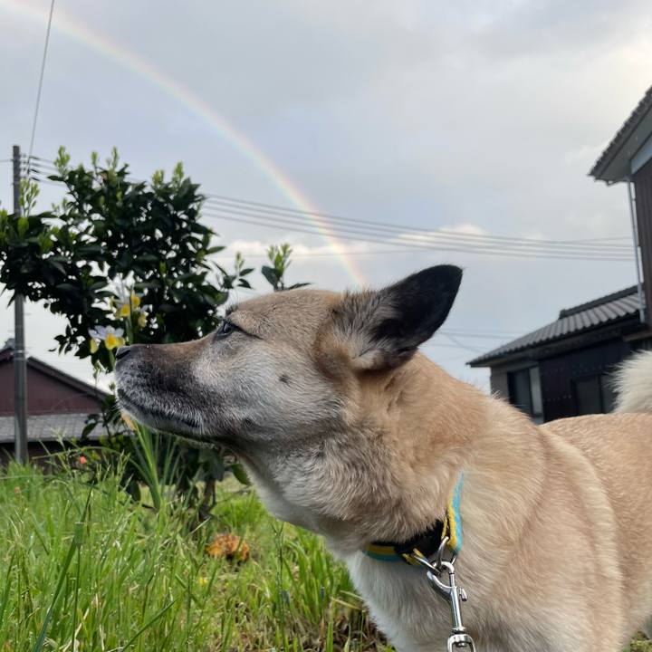 D3b1b66a 0b5f 4346 90fa 7b8e627395c0 1650545246360