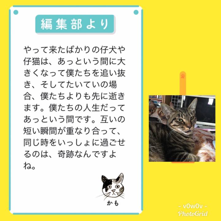 D3b1c95f 1802 4c8f bba8 c7a9b00b57ed 1543800888480