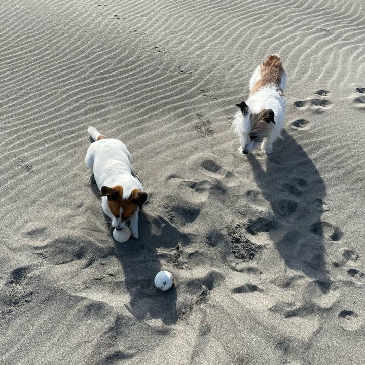 D3b1f689 85a8 4872 8cf2 6aca840ef0d0 1682391260472