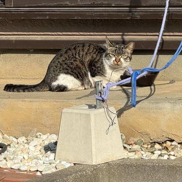 D3b1f6d3 1d4b 40a6 b0cb ac6a4544483d 1768807219565