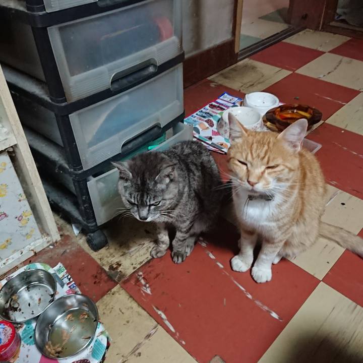 D3b21cf9 50e0 46b2 8cde 08777684f140 1593422012105