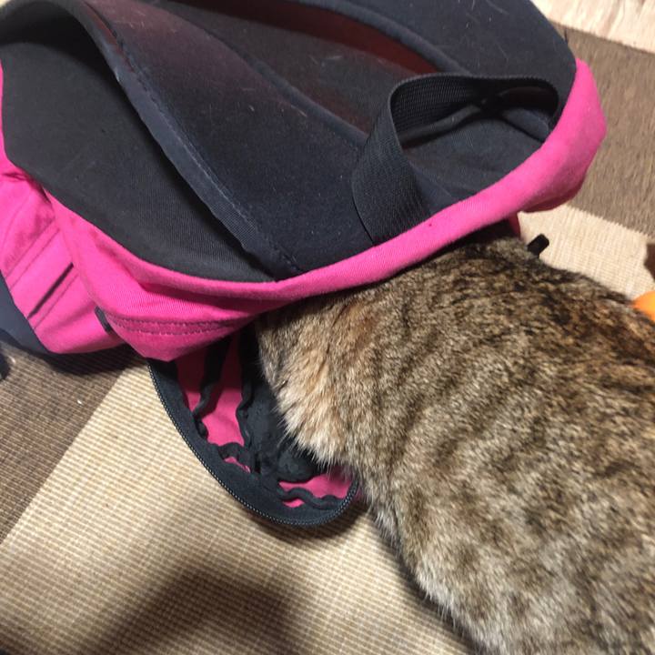 D3b24509 ed82 483a b4c9 ea6c629d7be4 1644544461509