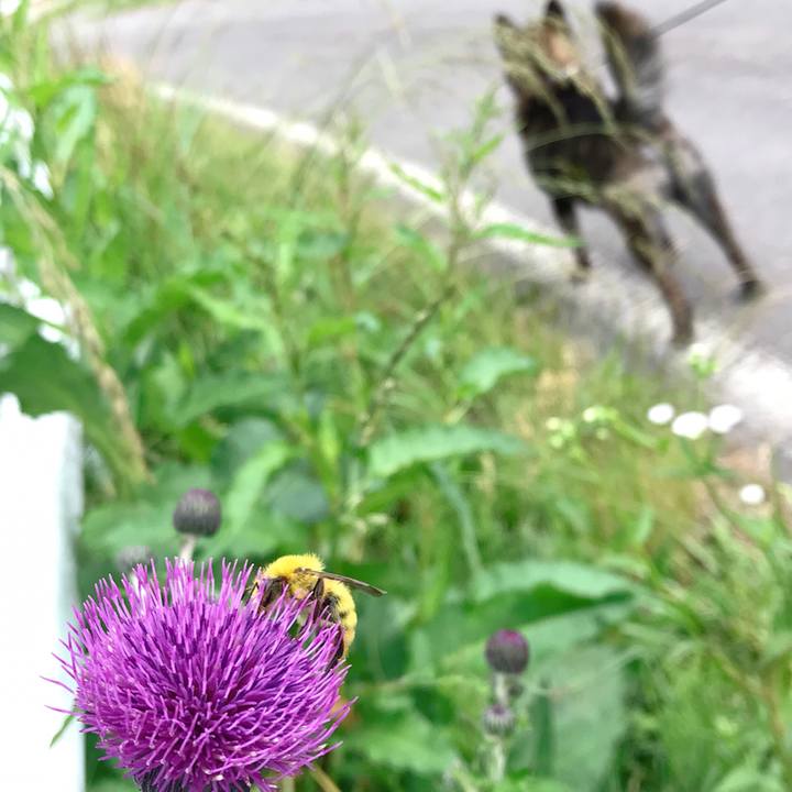 D3b2a004 63ad 40ed 8bfa 1c720c162074 1528843358221