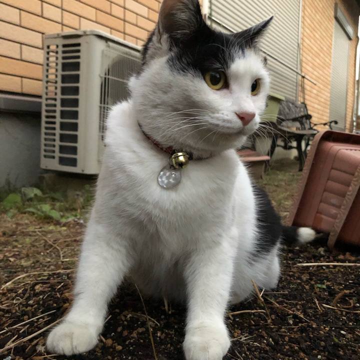 D3b2b1d1 b482 4056 8c18 4ad96aaaf52c 1610490099468