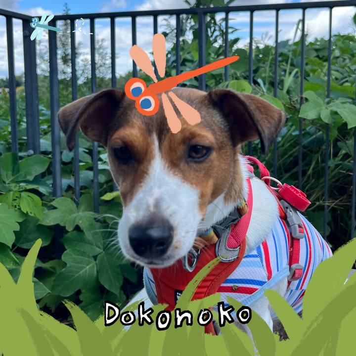 D3b3014b 4fff 4166 8f2a 22900fb5182a 1727185584471