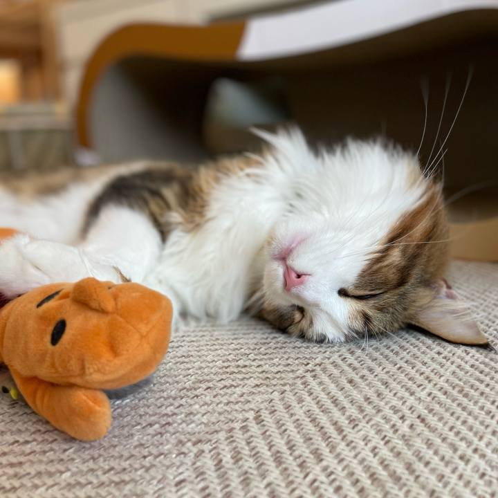 D3b30f5a 4023 45d7 8ce3 4b83e9d42d6e 1662933650996