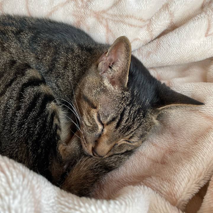 D3b350f5 df0e 4a49 af77 6bbb23565402 1612317038283