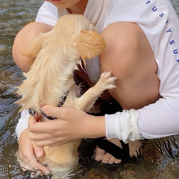 D3b352f3 39bb 46ba ad17 eccbb4e62b56 1596963915924