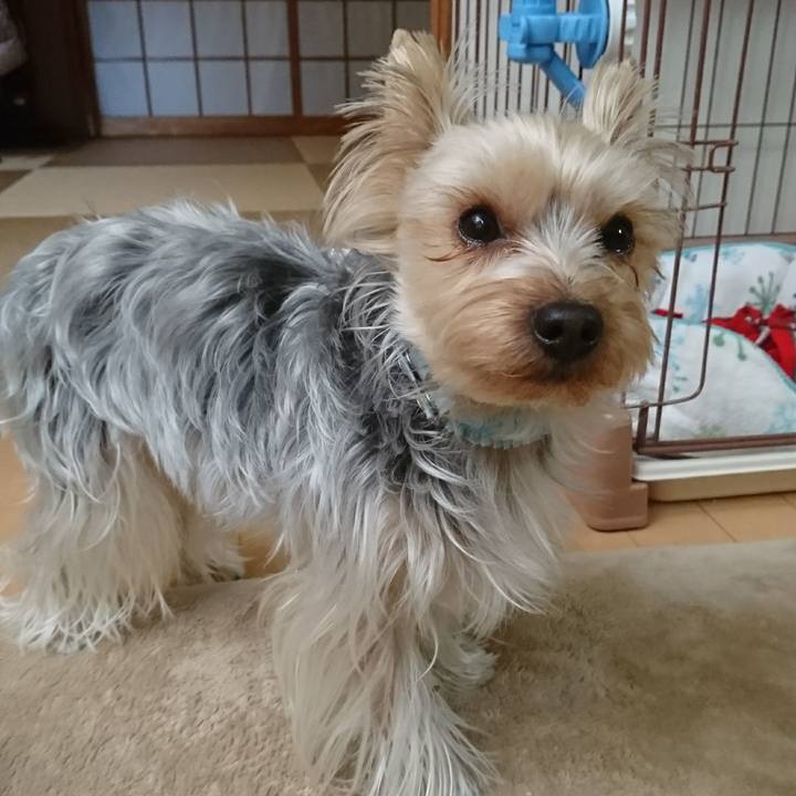 D3b36af1 f91b 4fe5 876b 49e37ab50c35 1518131245533