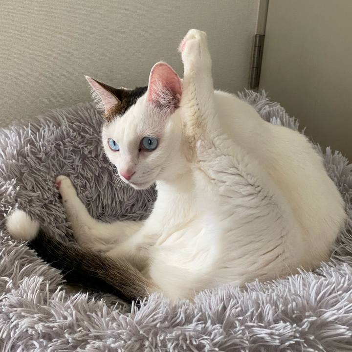 D3b36d35 903c 4901 9478 92471f438f71 1674000172745