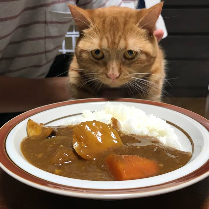 D3b379c9 13c0 492a 83b2 2046ee4f5c28 1537789158180