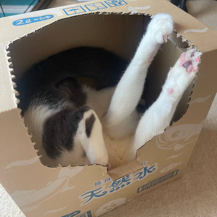 D3b3aa6b f3fd 455f b82b e8e8e55ddfc4 1738132998215