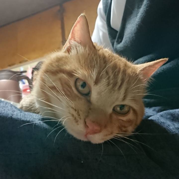 D3b3ae94 611c 42e8 a4bd 4bff71cc4a8b 1652521136431