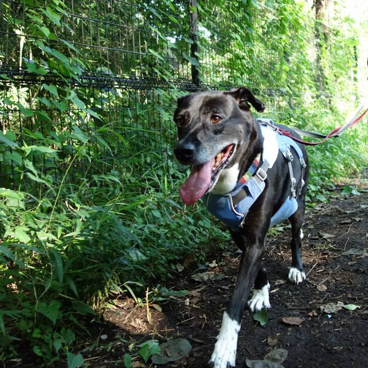 D3b3b161 87d1 4829 9dc8 b81b00277cf3 1721604852587