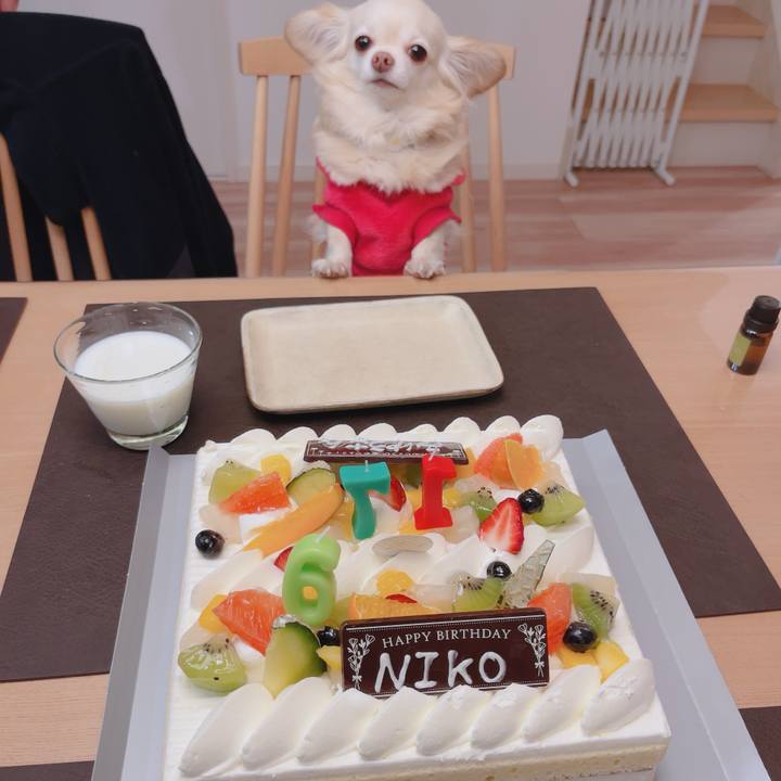 D3b3b712 51f0 4d3b 9682 6ffb7fcd1716 1770550690636