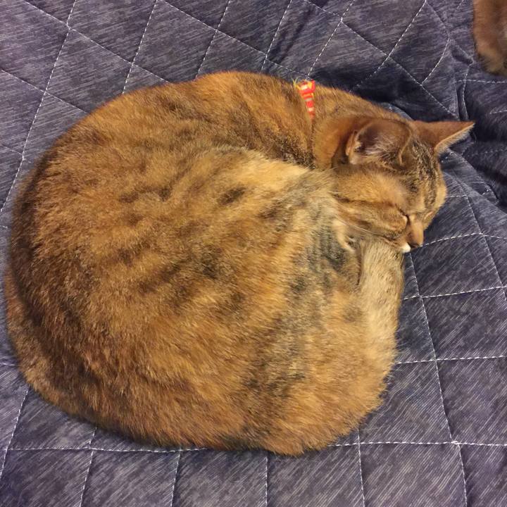 D3b484c9 543d 4994 a2e7 fc46dbdf03fb 1560171130911