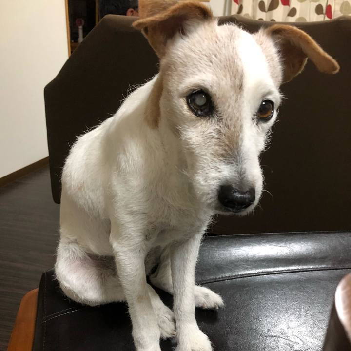 D3b4b594 d18f 4e1e adb3 d9ad559620b6 1543495368618