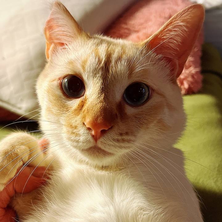 D3b4e1ae 2e46 421f b7c1 6292650644ab 1647863245461