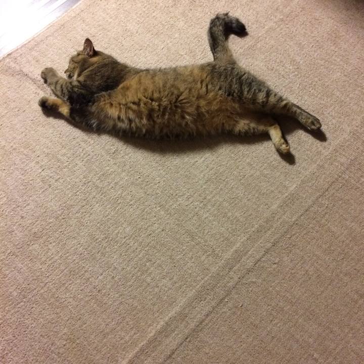 D3b4eb31 cf38 4e53 9373 9e1ed6553907 1560679037968