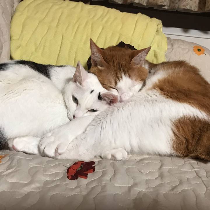 D3b4f8aa 783a 4a27 9239 f94c7919f143 1552128544899