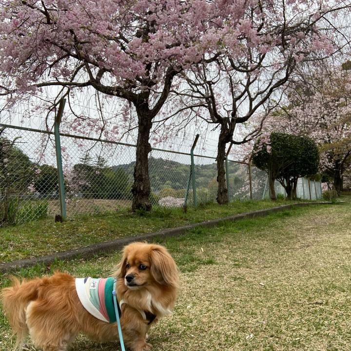 D3b5501e b3f7 4474 b526 592a2f7acd8f 1617491660429