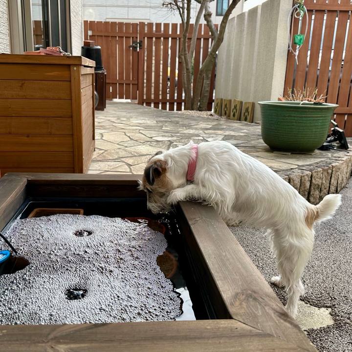 D3b552ba cb03 441a b4cc 00de4a52d080 1711588242896