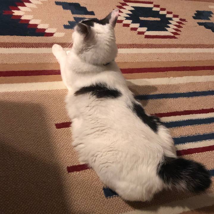 D3b57667 ae5e 45c4 a936 367f6e1eb7b5 1532357148976