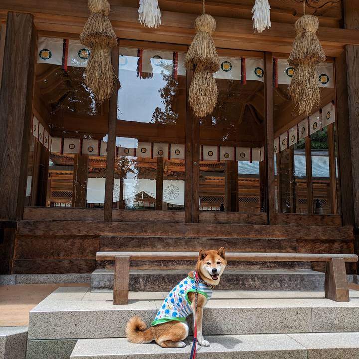 D3b582c4 af5b 4f23 bfc4 07d56ba1f6ab 1716761309016