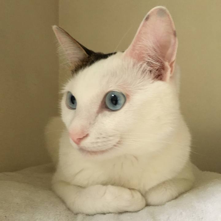 D3b599be d242 423f 86fe 1e62258acc2b 1510110670198