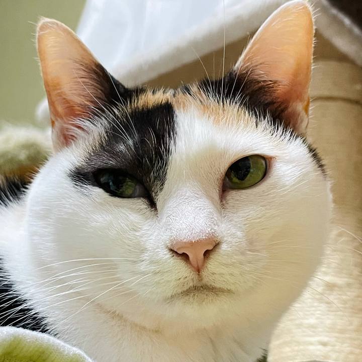 D3b5c8fc 6180 4a7c a319 300294525687 1620094351964