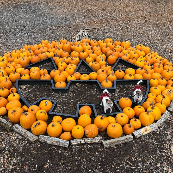 D3b5f157 3e1c 4475 b642 9ac0cbe6a60a 1730331939568