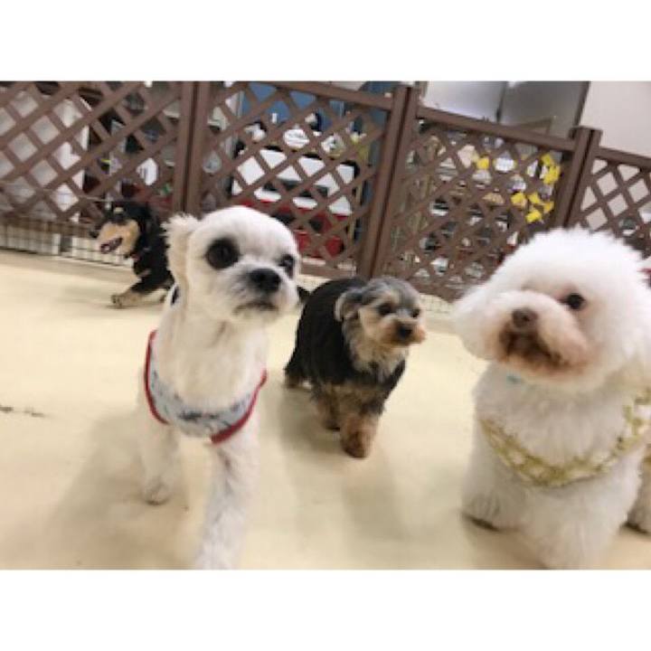 D3b6283e 386c 4370 8a3e 755a35e5a4a9 1544526938416