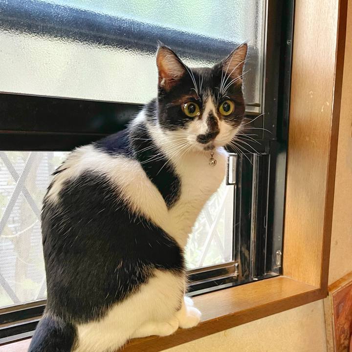 D3b63f58 e868 480a 87b6 675592e0d6db 1759877591252